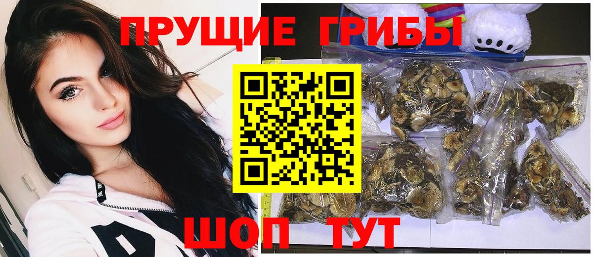 Псилоцибиновые грибы Psilocybe  Вход с VPN  Псилоцибиновые грибы мухоморы  Таганрог 